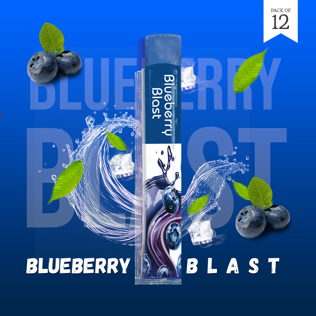 Blueberry Blast (Pack of 12 pcs)